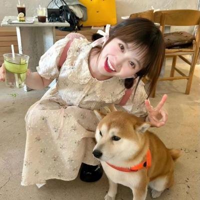 毛衣女郎封面